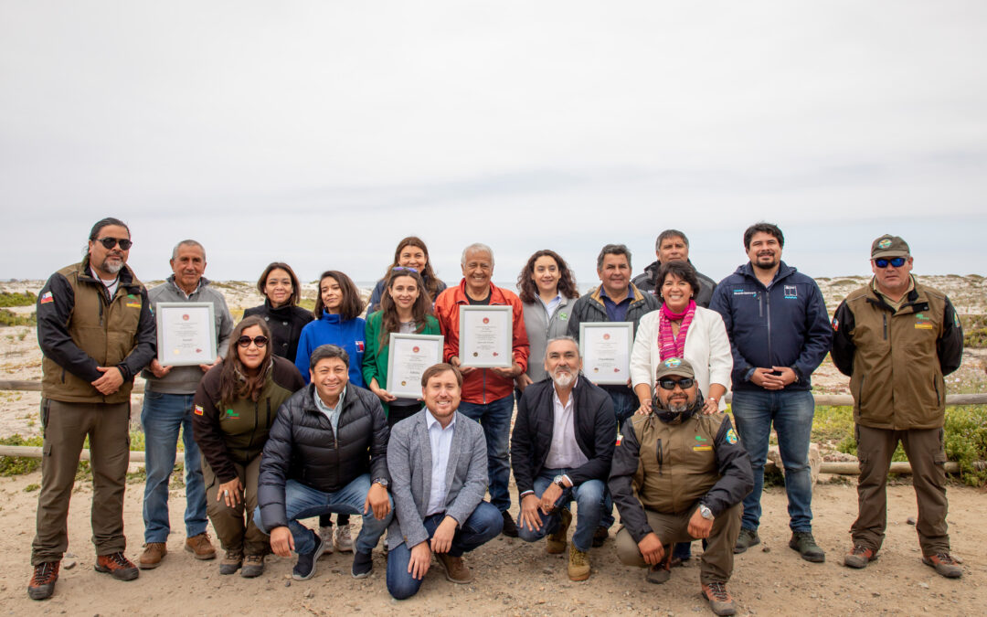 Productores de aceite de oliva de Huasco renuevan sello Denominación de Origen tras demostrar altísima calidad