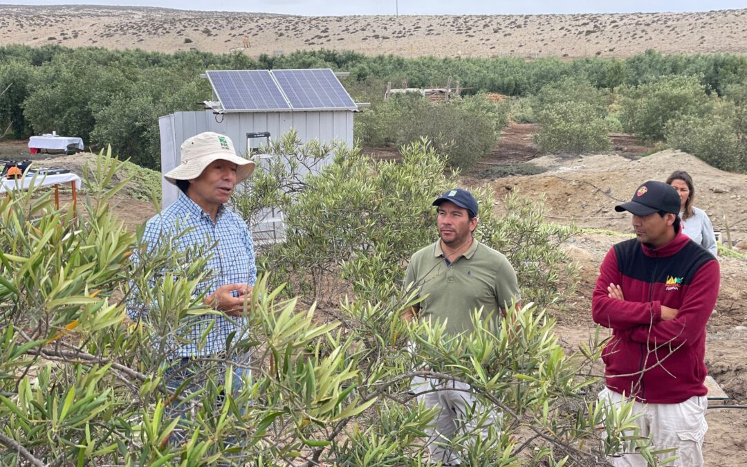 Con el fin de optimizar el agua, INIA instala primer sistema de riego tecnificado fotovoltaico en Carrizalillo