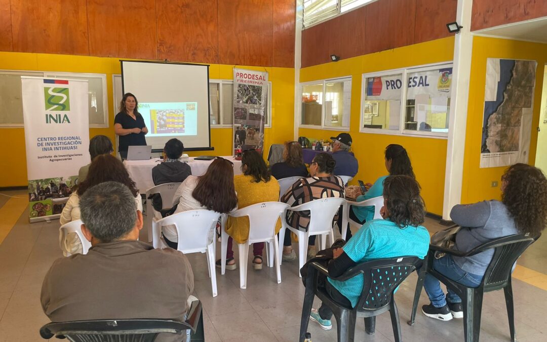 “Aceitunas de mesa Freirina” olivicultores buscarán inscribir marca colectiva para agregar valor a su producción y al territorio