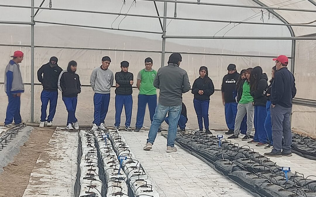 Estudiantes del valle de Lluta participan activamente en proyecto para validar sustratos locales en la agricultura