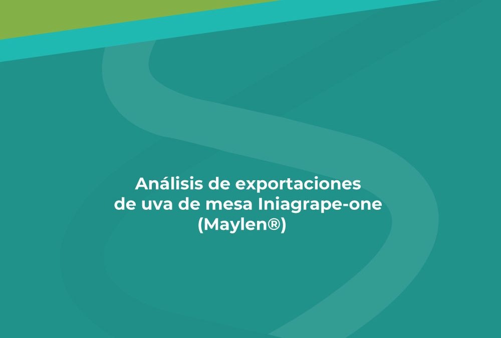 Análisis de exportaciones de uva de mesa Iniagrape-one (Maylen®)