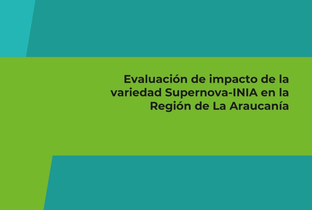 Evaluación de impacto de la variedad Supernova-INIA en la Región de La Araucanía