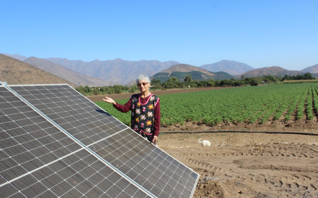 Paneles fotovoltaicos potencian el riego presurizado en cultivos de frutales y hortalizas