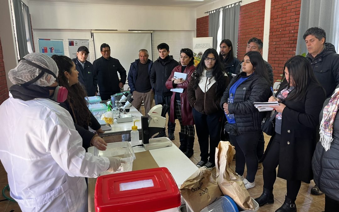 Técnicos, docentes y estudiantes se capacitan en producción de insectos benéficos para la agricultura