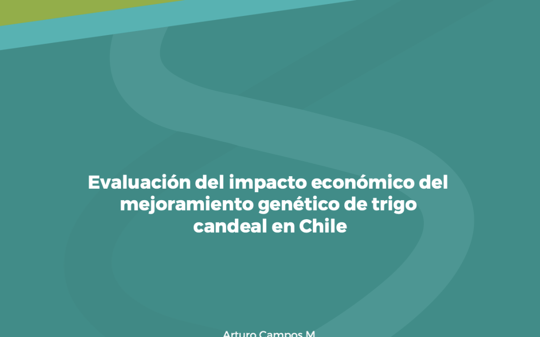 Evaluación de impacto económico del mejoramiento genético de trigo candeal en Chile