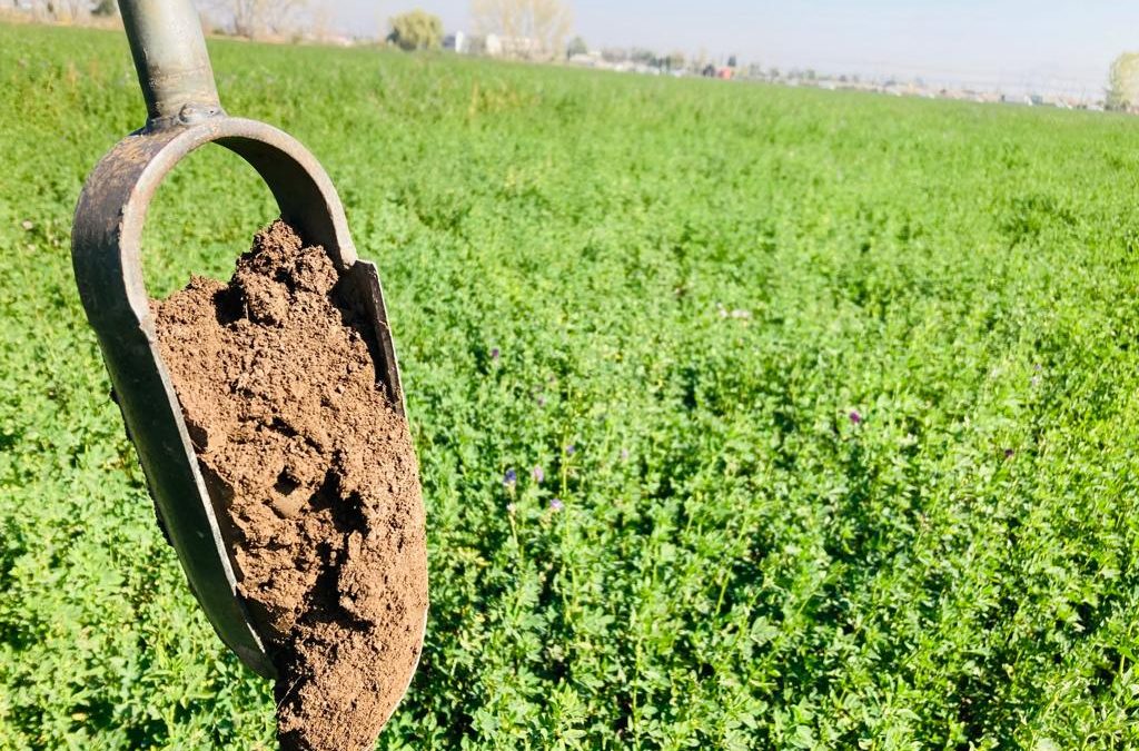 En Chile: investigadores desarrollan innovadora metodología para discriminar sistemas agrícolas que generan microplásticos de aquellos que reciben estos contaminantes