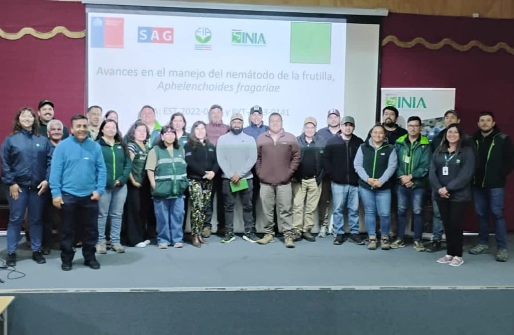 En San Pedro: INIA La Platina y SAG capacitan a profesionales y técnicos del rubro frutillero de la Región Metropolitana sobre manejo del nemátodo foliar