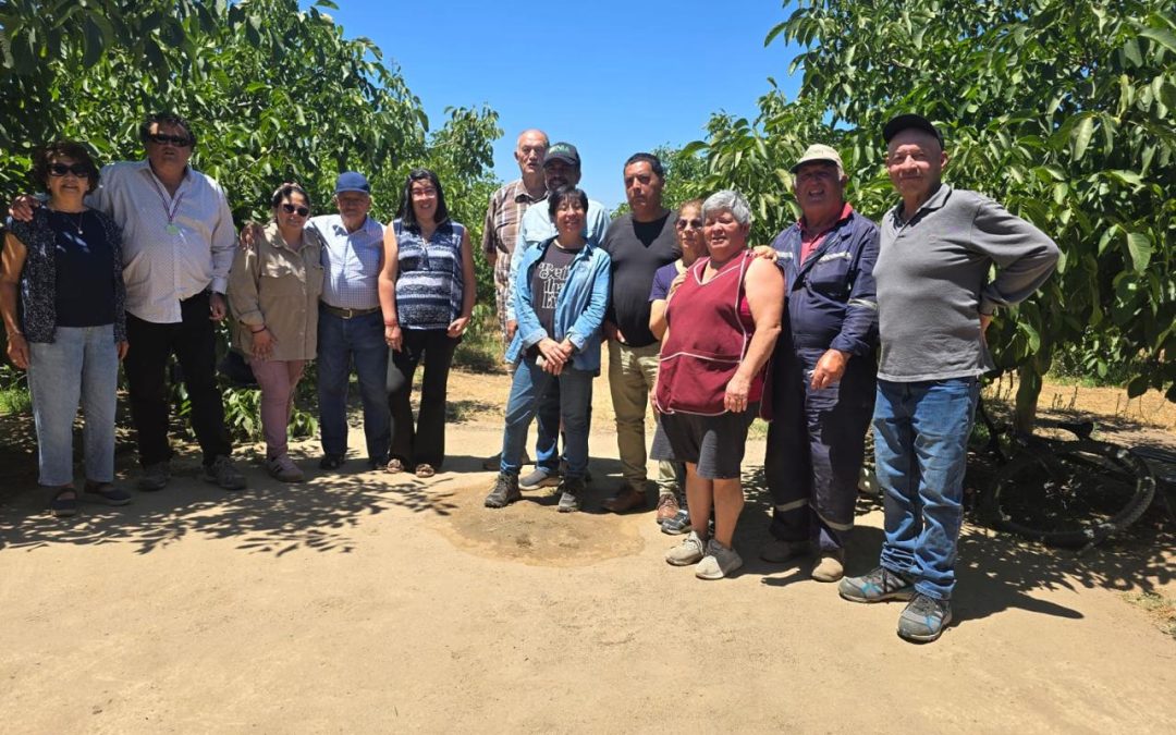 INIA La Platina celebra exitoso cierre del segundo año del GET Frutales de María Pinto