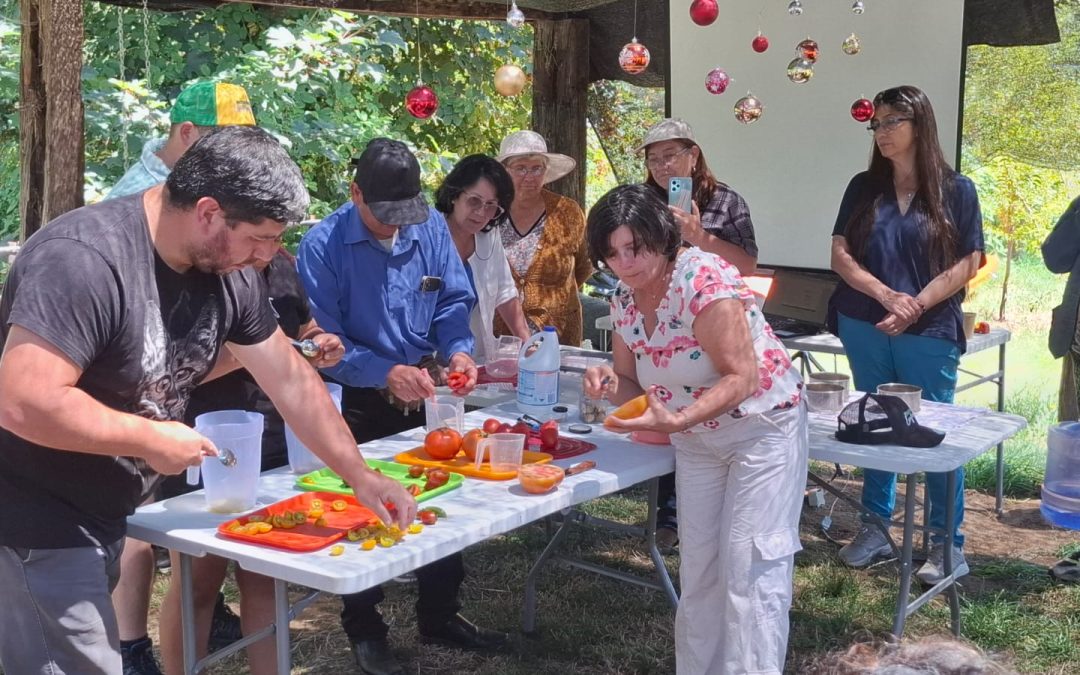 INIA dicta talleres de selección, procesamiento y conservación de semillas de maíz y tomate en la Región de Los Ríos