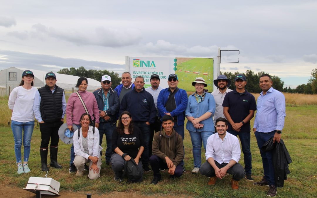 En Osorno realizan primer taller de un proyecto internacional para optimizar el uso de fertilizantes nitrogenados en la agricultura