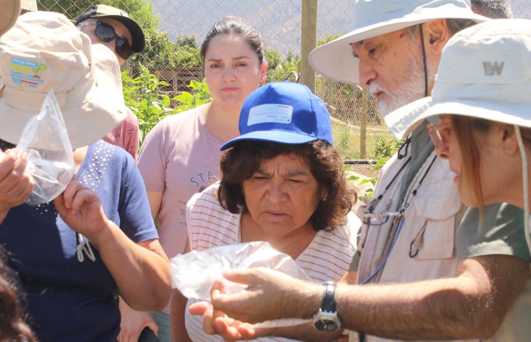 Agricultores fortalecen sus cultivos con biodiversidad gracias al programa TAS