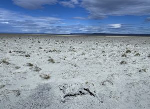  Laguna Blanca