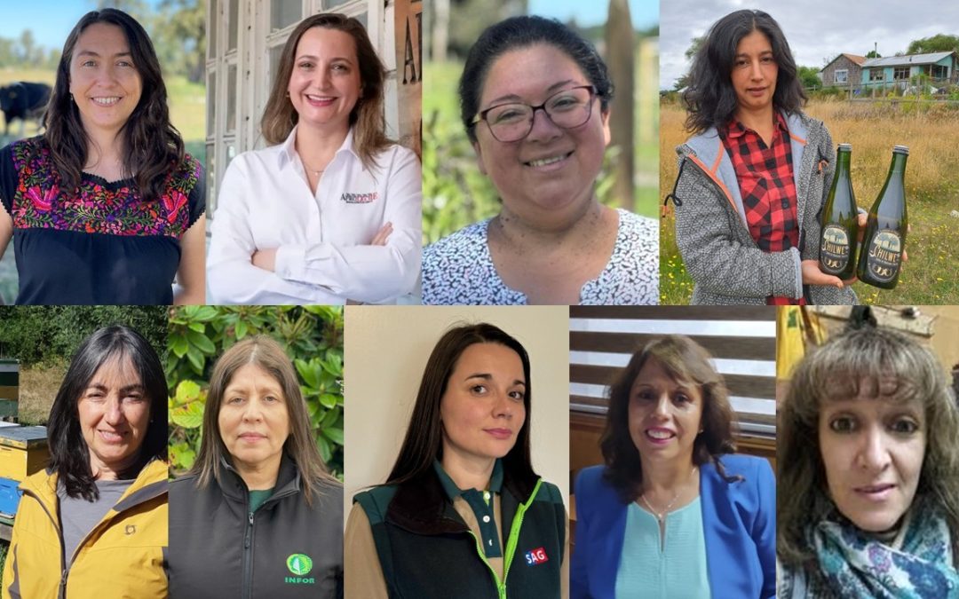 Ministerio de Agricultura reconocerá a 9 mujeres destacadas del agro en la región de Los Lagos